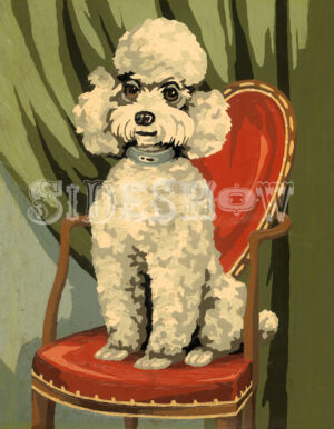Poodle red chair
