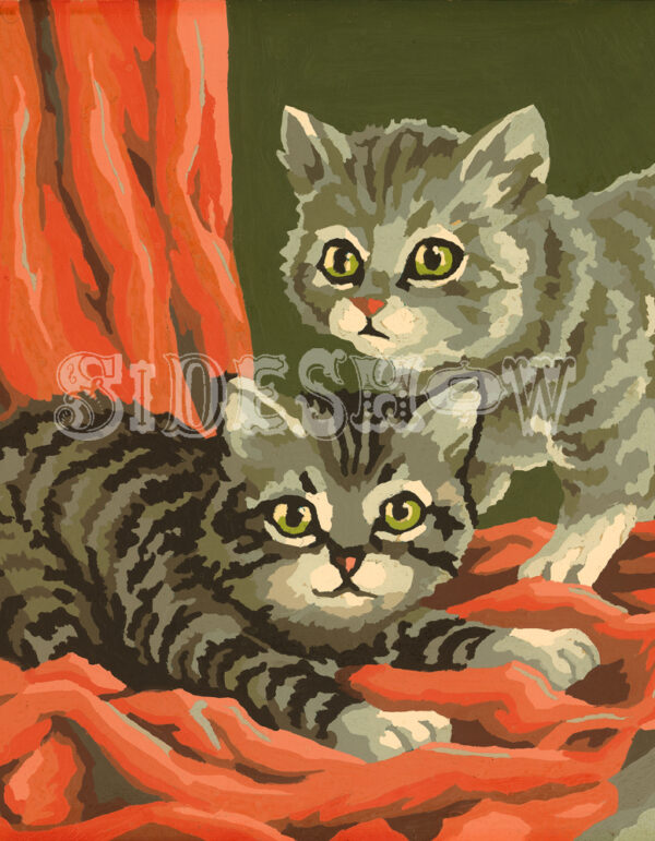 two kittens on red fabric