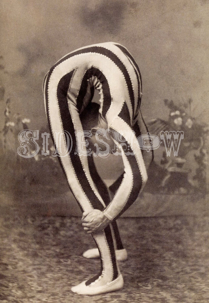 striped contortionist