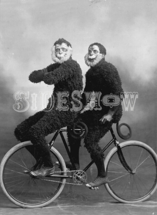 monkey costumed bicyclists